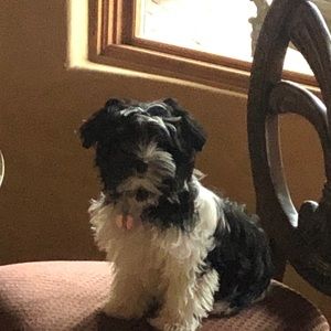 Meet your Posher, Cindy